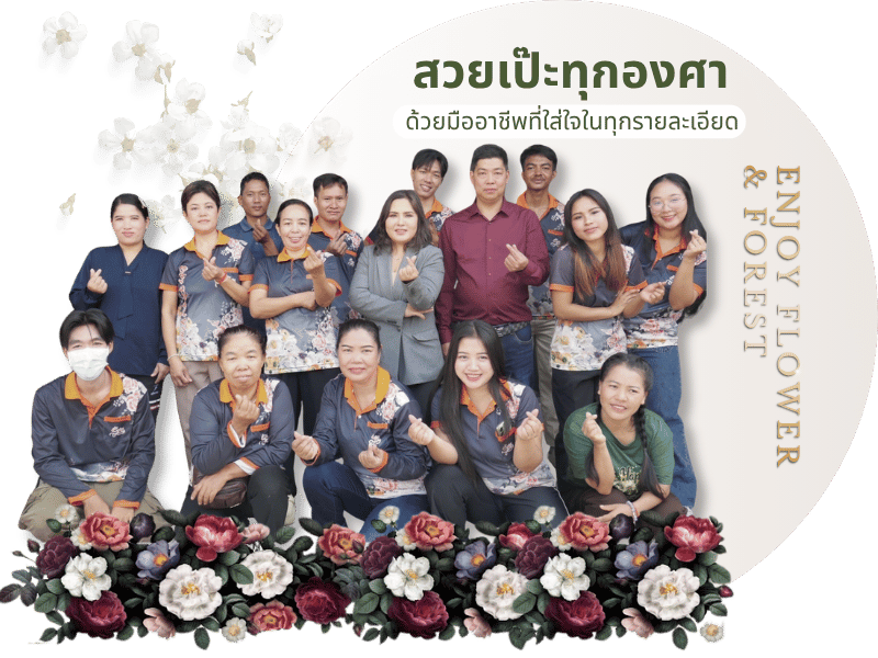 ผู้จำหน่ายและรับตกแต่งต้นไม้ปลอม โรงแรม พูลวิลล่า ผู้จำหน่ายและรับตกแต่งต้นไม้ปลอม โรงแรม พูลวิลล่า